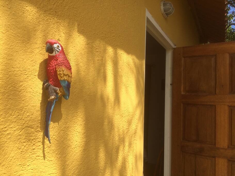 Appartement met eigen ingang