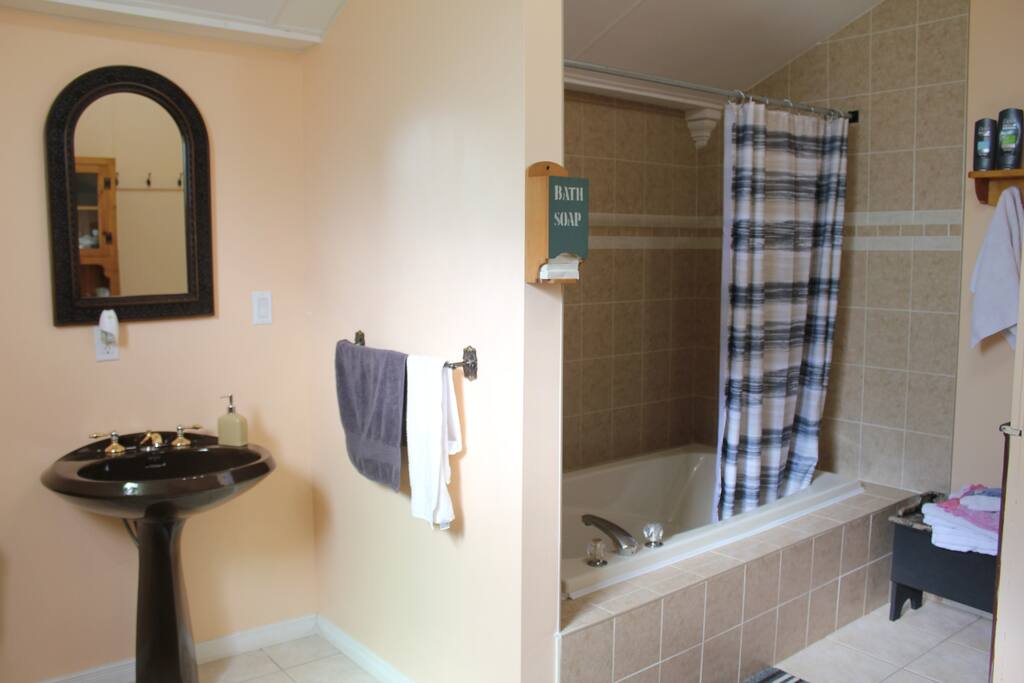 Large Bathroom Jacuzzi Tub