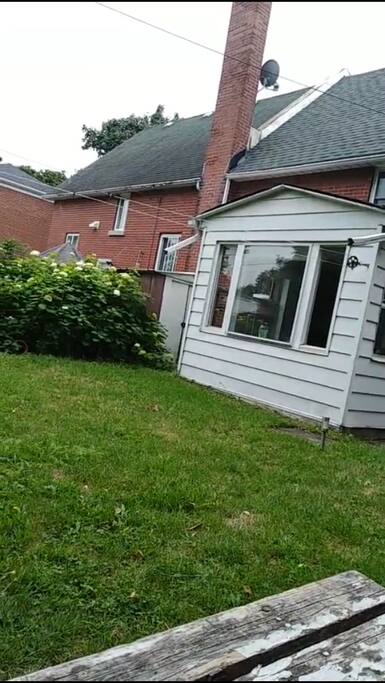 the backyard