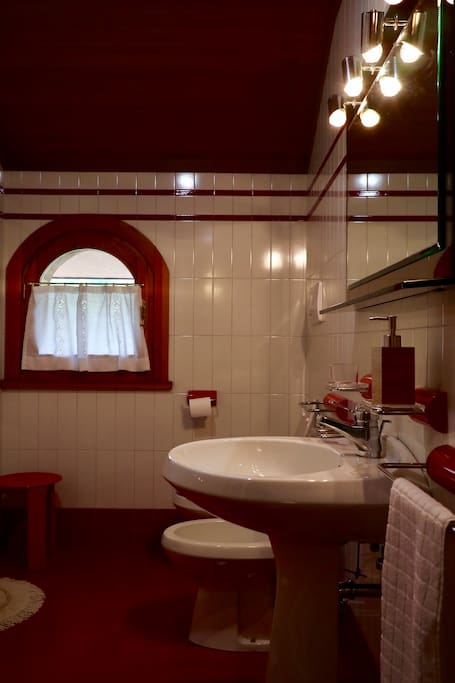 Bed&Breakfast La Pecora Nera - Belluno IT
Bagno privato esterno