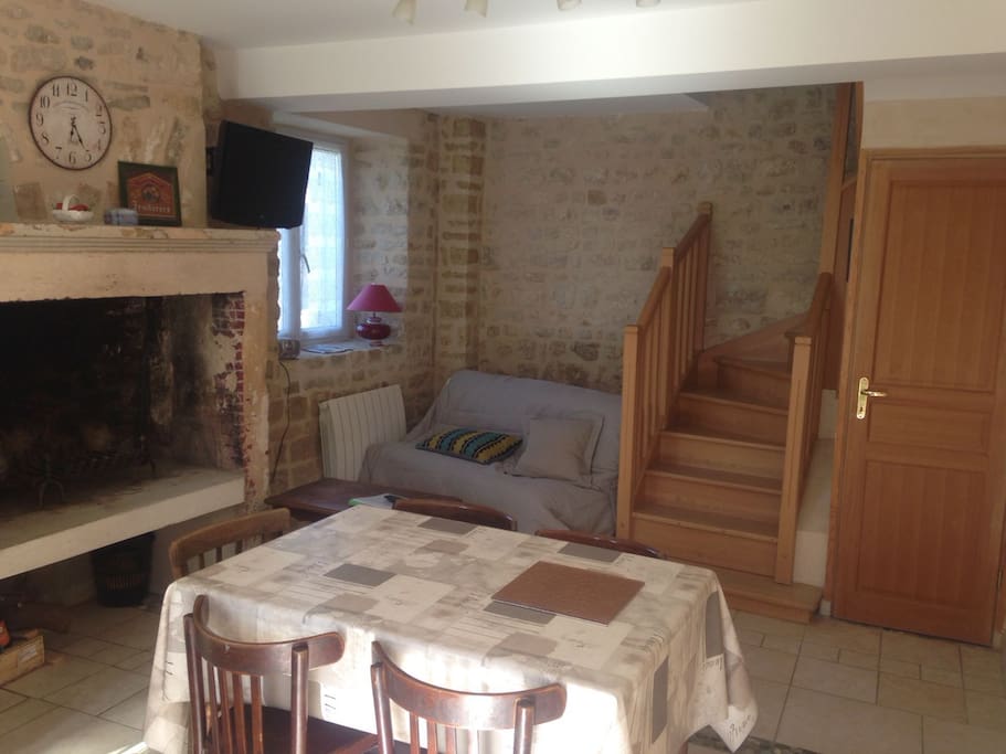 Salle de vie avec cheminée