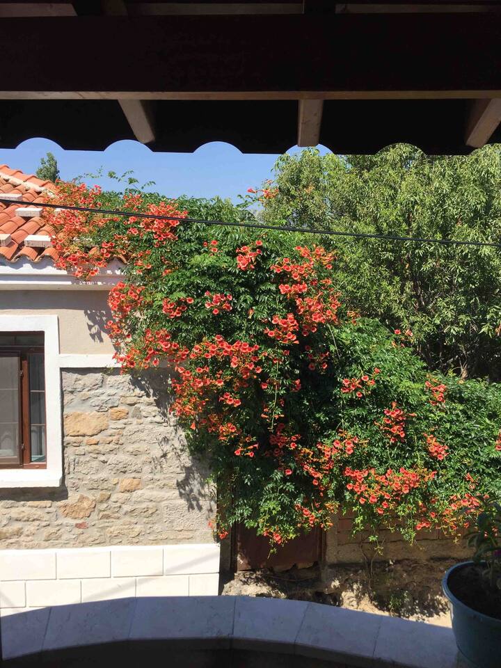 eselek kiralik tatil evleri ve evler canakkale turkiye airbnb