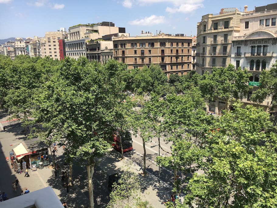 Views Paseo de Gracia