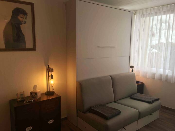 Sofa /Murphy bed in main room