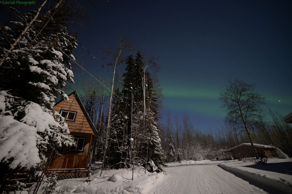 Northern Lights on our property