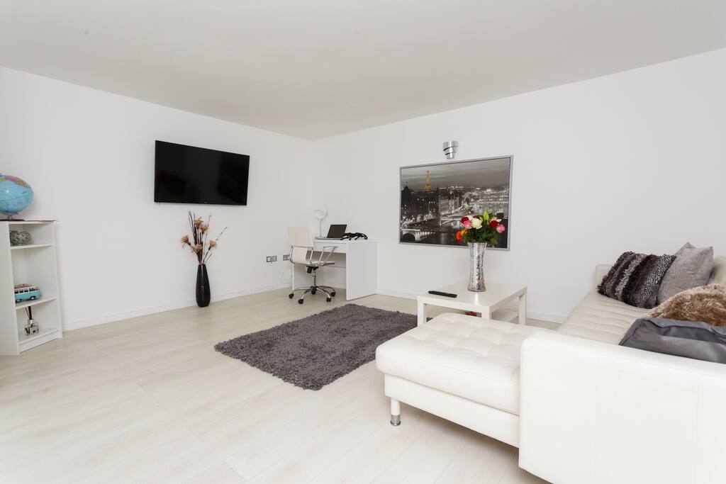 Modern living room with 50inch smart tv