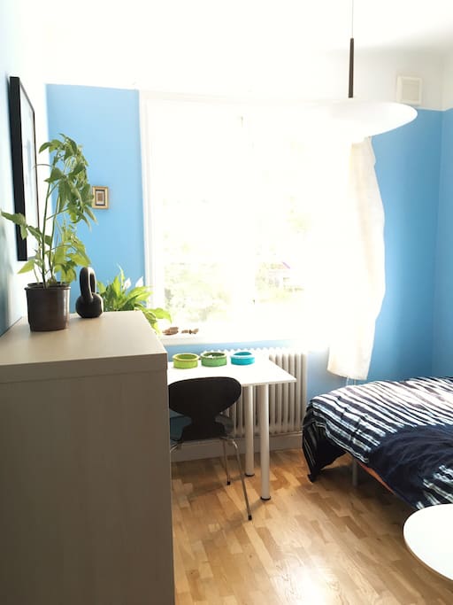Single bed bedroom