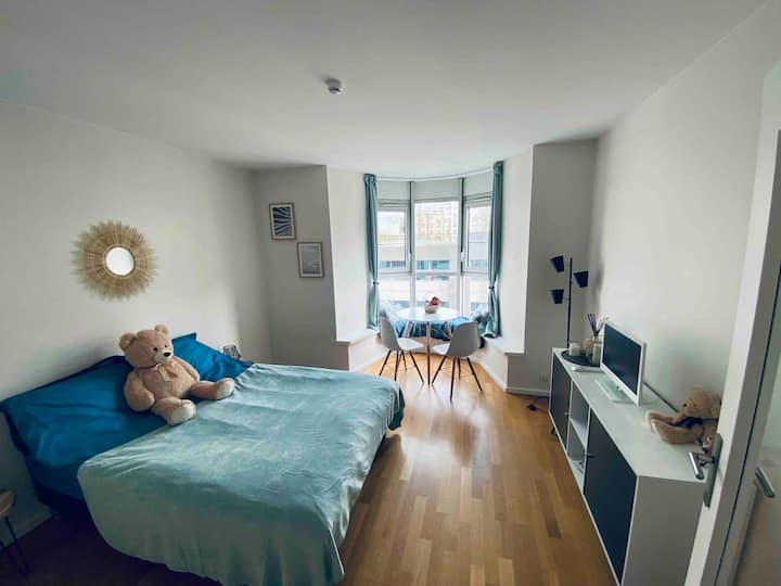 Joli studio 15ème Apartments for Rent in Paris, ÎledeFrance, France