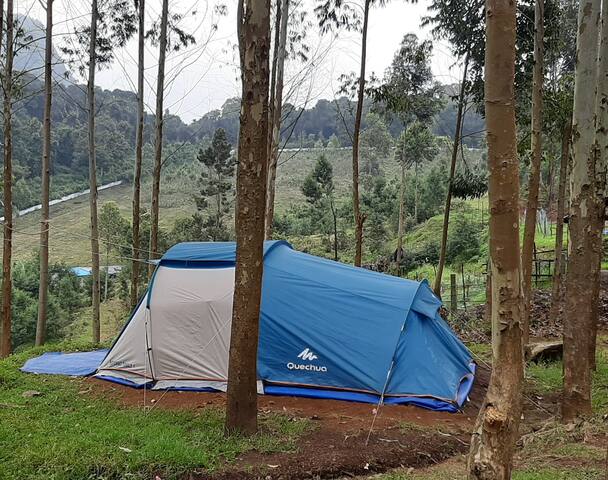 Airbnb Dhali Vacation Rentals Places To Stay Tamil Nadu