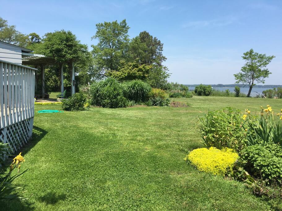 Use of lawn