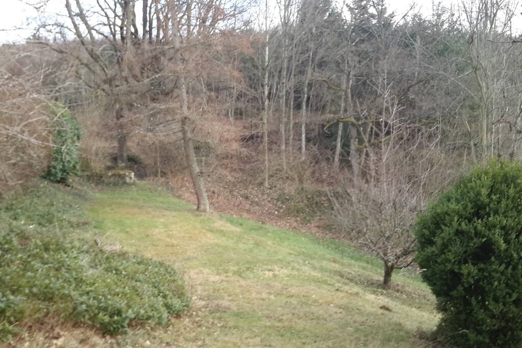 Devant la maison