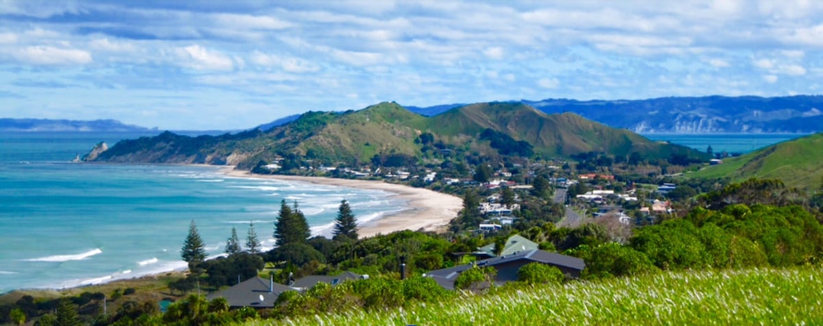 A panoramic view captures Wainui Beach, framed by rolling hills and lush greenery. The coastline curves gently, revealing sandy shores and a tranquil ocean. A mix of residential properties and trees dot the landscape, enhancing the serene coastal atmosphere.