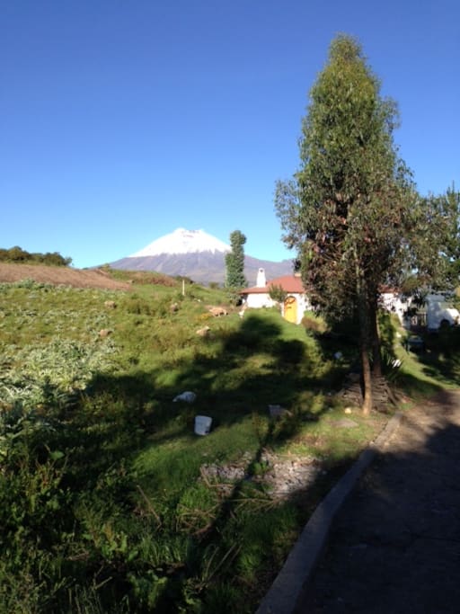 Right between Cotopaxi and Ilinizas