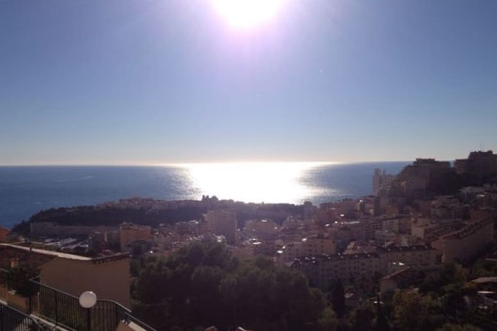 Panoramic sea view on the rock of Monaco and the Prince's Palace.