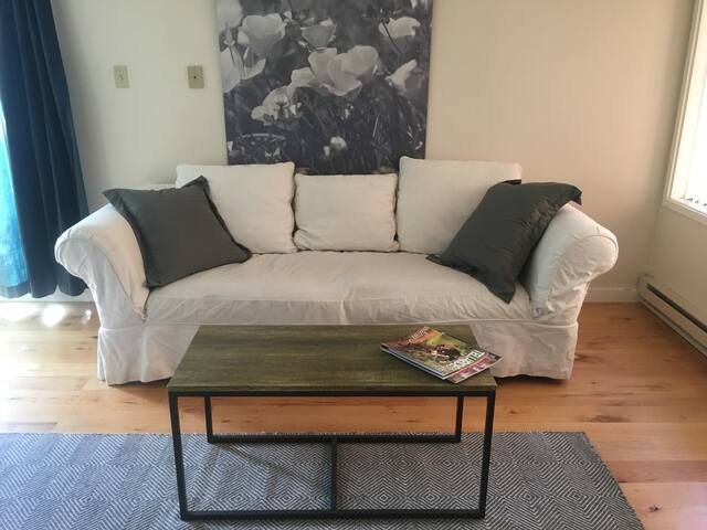 Spacious and Comfy Studio in Telluride!