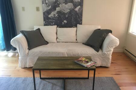 Spacious and Comfy Studio in Telluride!