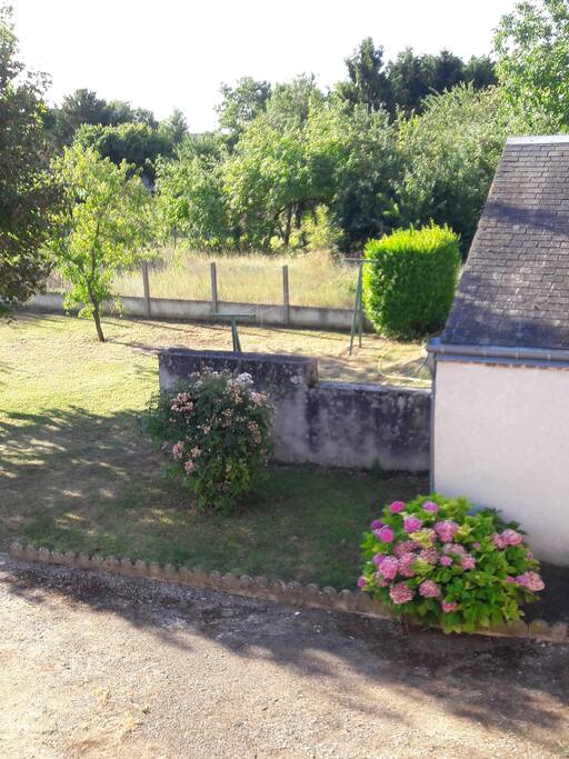 Jardin