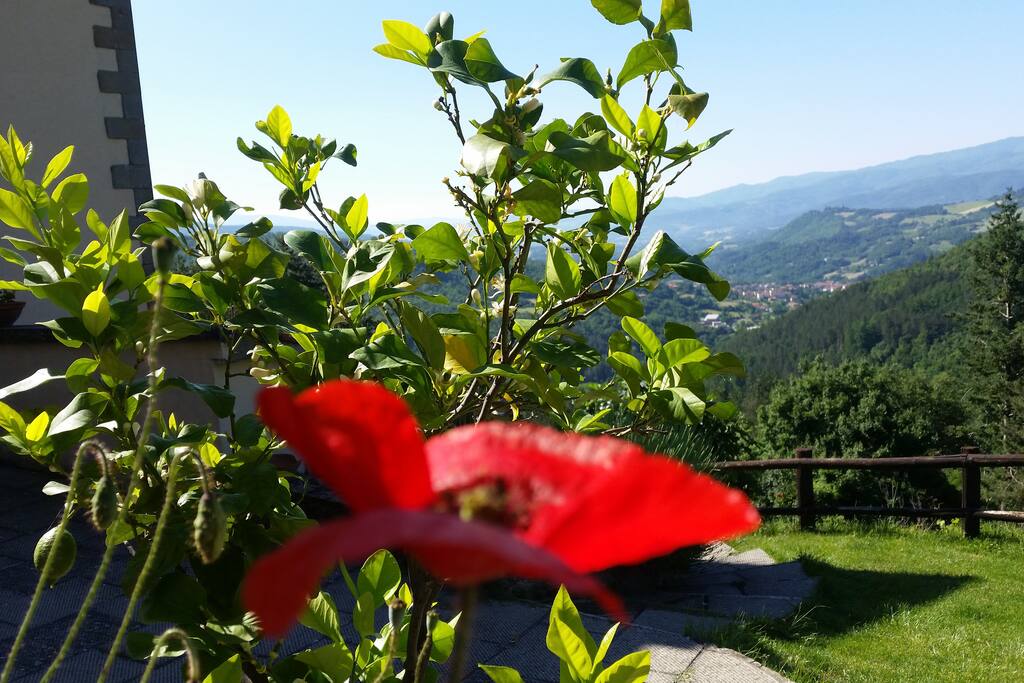 Un panorama di rara bellezza!