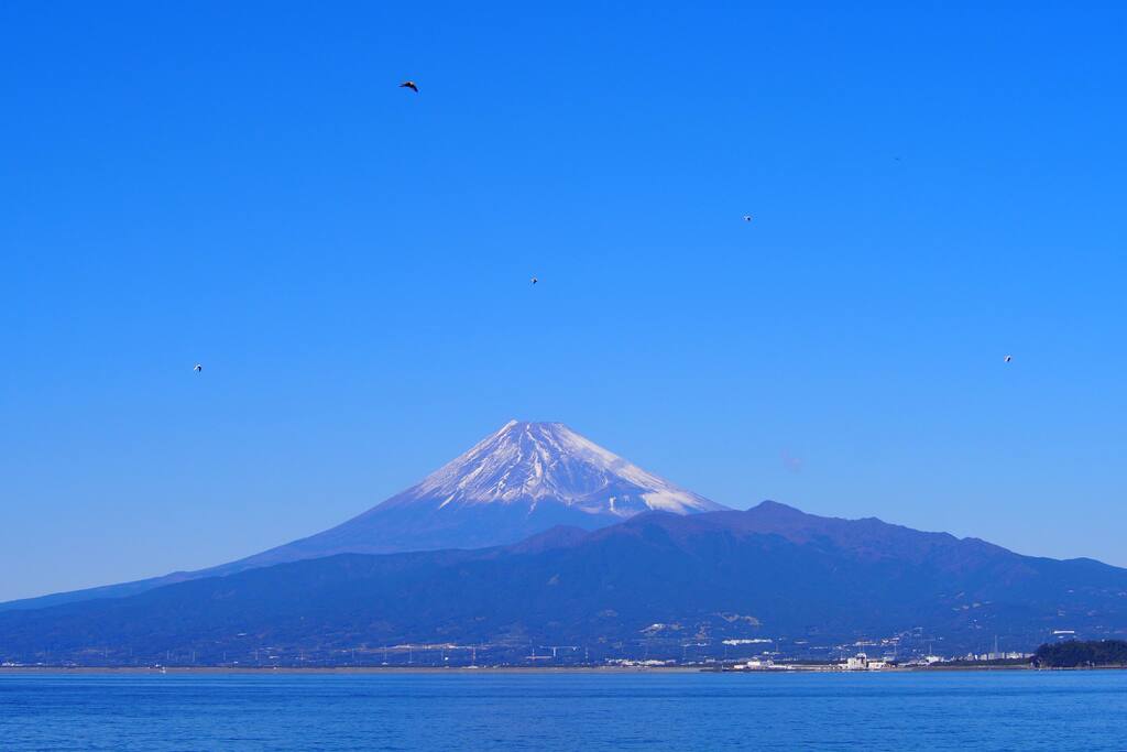 徒歩30秒で駿河湾越しの富士山が見えます