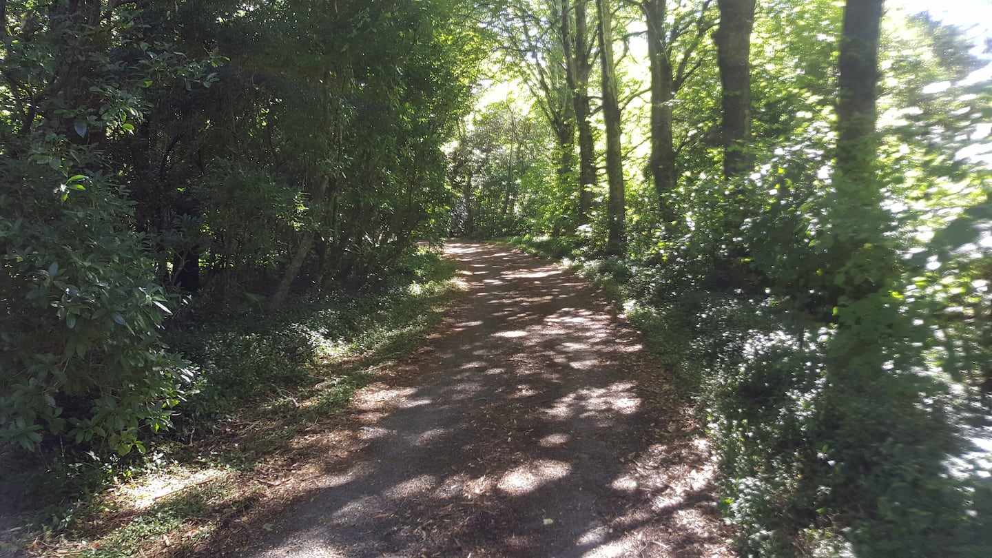 Fareham - Titoki: Historic, Quiet, Views 3