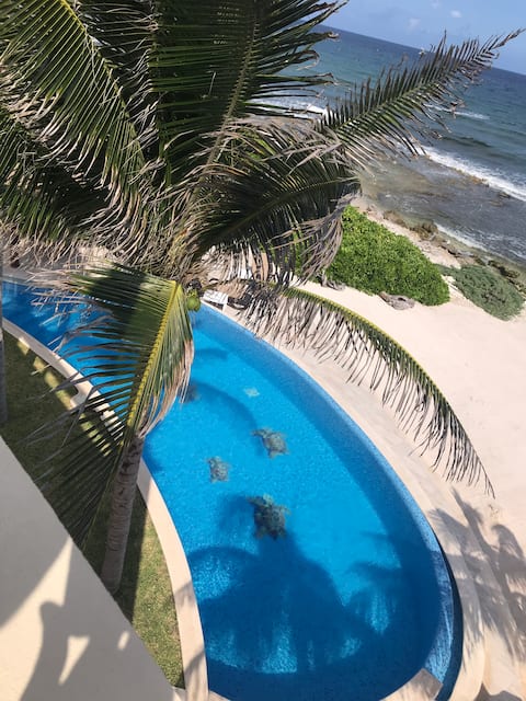 Propiedad de Airbnb exitosa: Tulum beach villa( for only two persons ) en Tulum