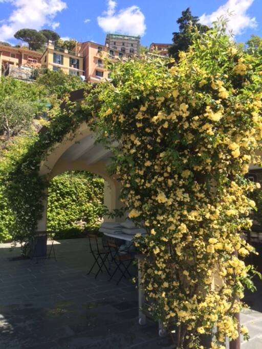 il patio