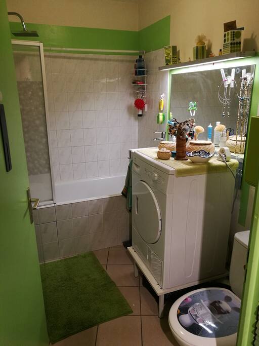 Salle de bain avec baignoire/douche, WC, seche singe ( le lave linge est ds la cuisine)