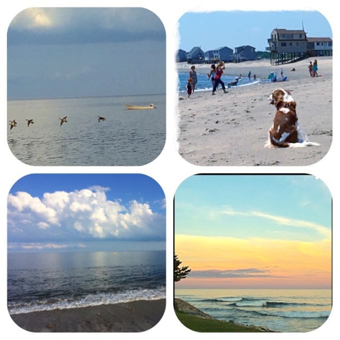 Peggotty Beach, steps away. Going to the beach is a walk not a car ride.