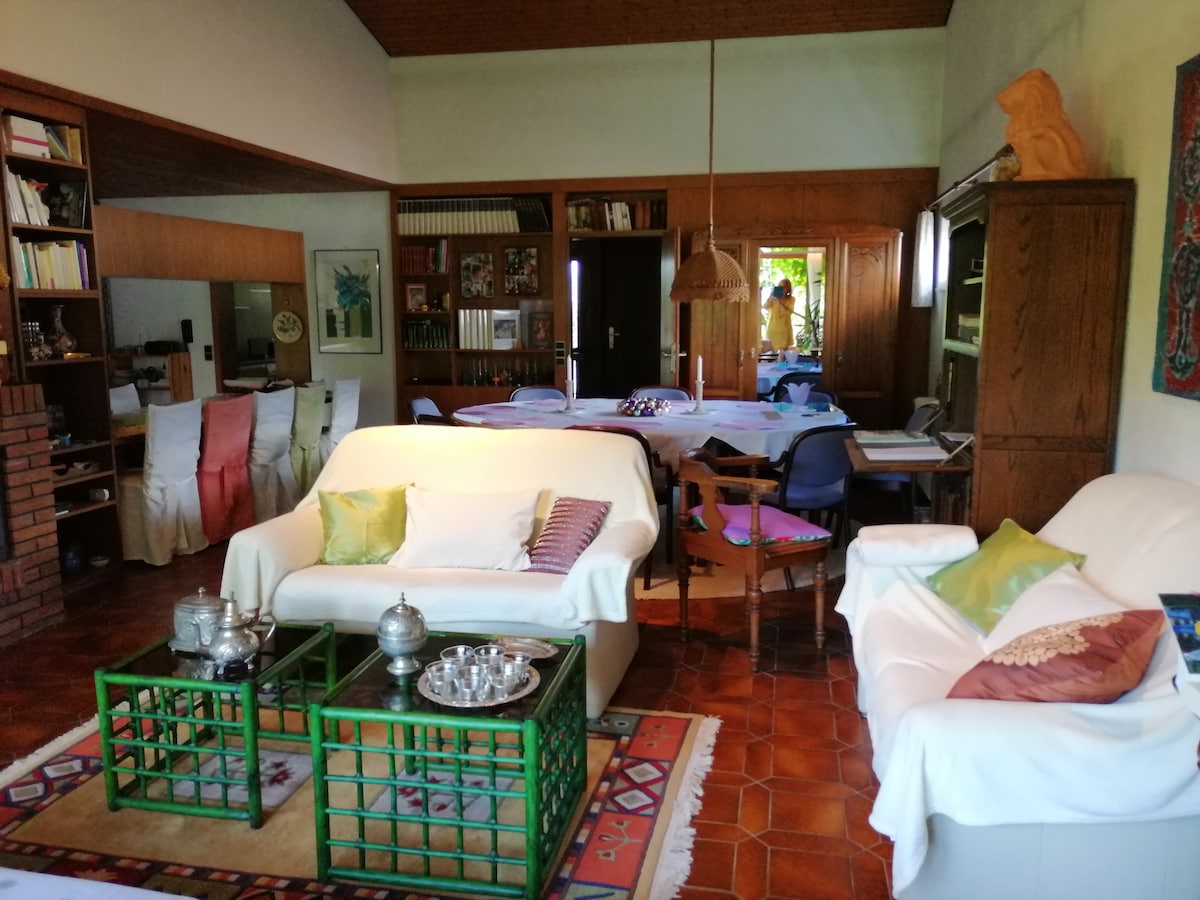 Top performing Airbnb: CHARMING APPARTMENT NEAR THE BORDER, 150M2 in Kehl
