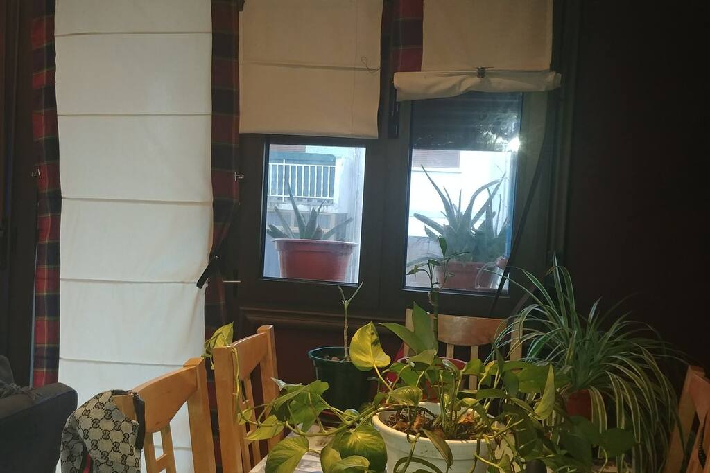 parte del salon, la mesa comedor , con varias plantas porque al vivir solo , hago las comidas en cocina y no uso la mesa
