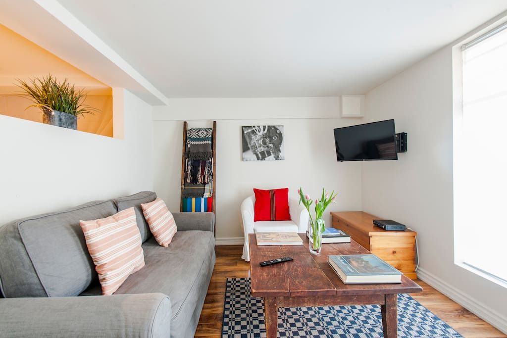 Large living room with very comfortable pull-out Queen, full cable incl HBO, all sports, Netflix access etc.