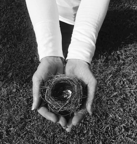 The Empty Nester