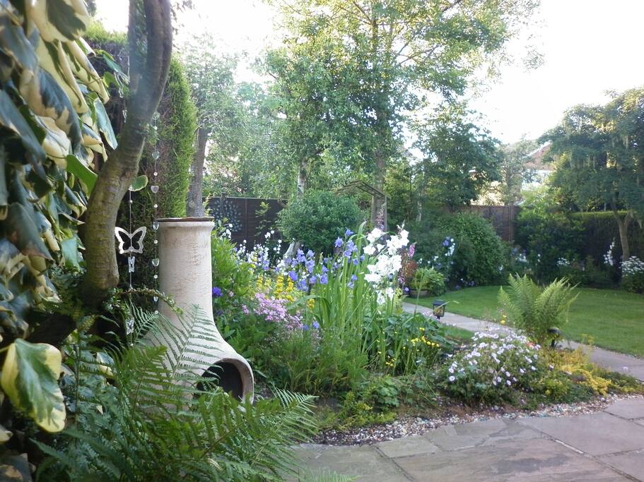 Back garden