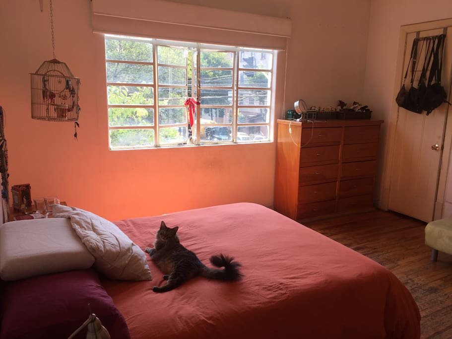 Habitación / Bedroom
