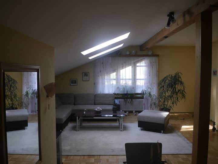  客厅，通往阳台的窗户2