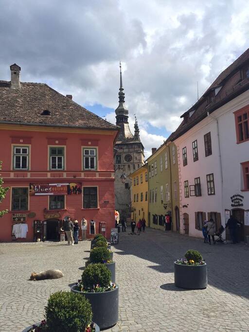 Sighișoara Citadel