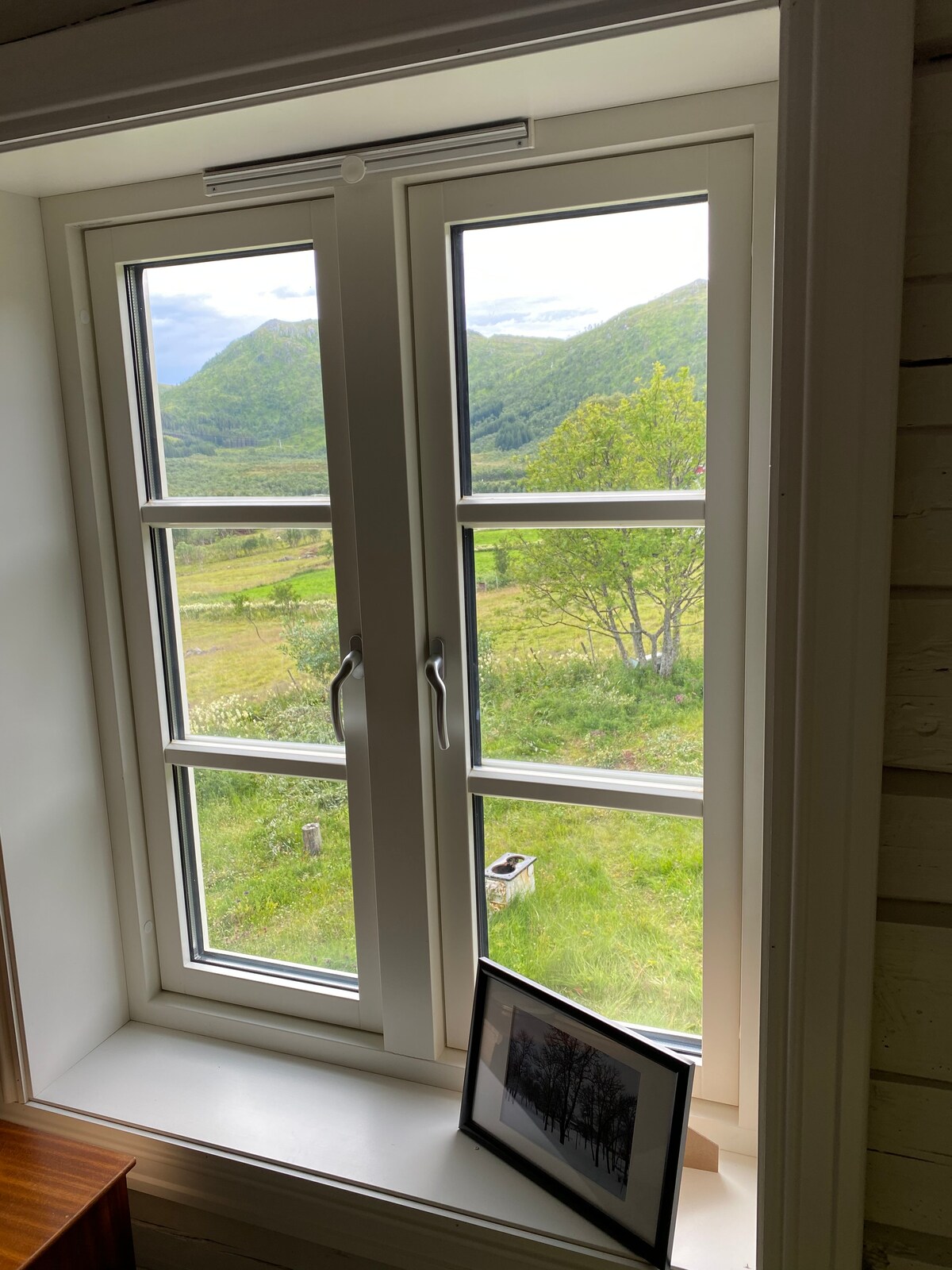 Otvorte okno a vychutnajte si twitterovanie vtákov v kríkoch.