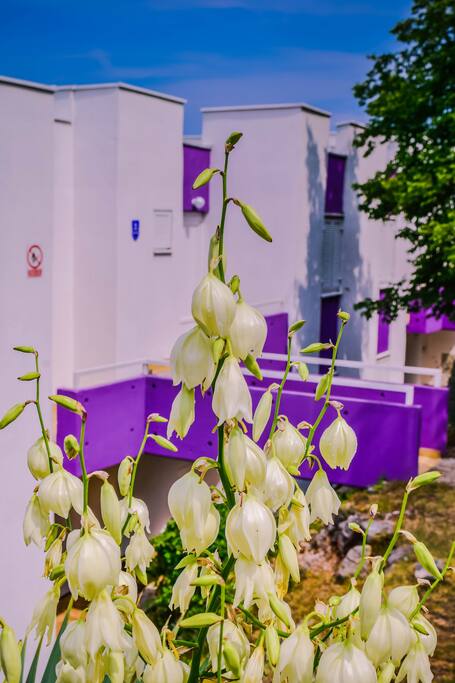 Vanjski izgled apartmana