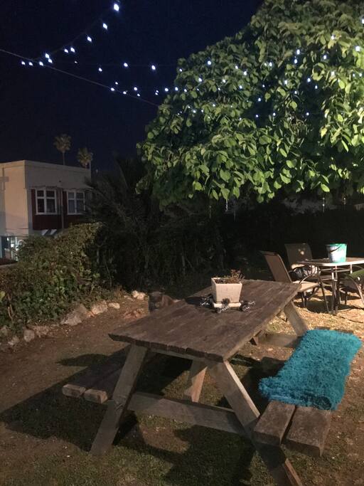 Our jungle in the City
