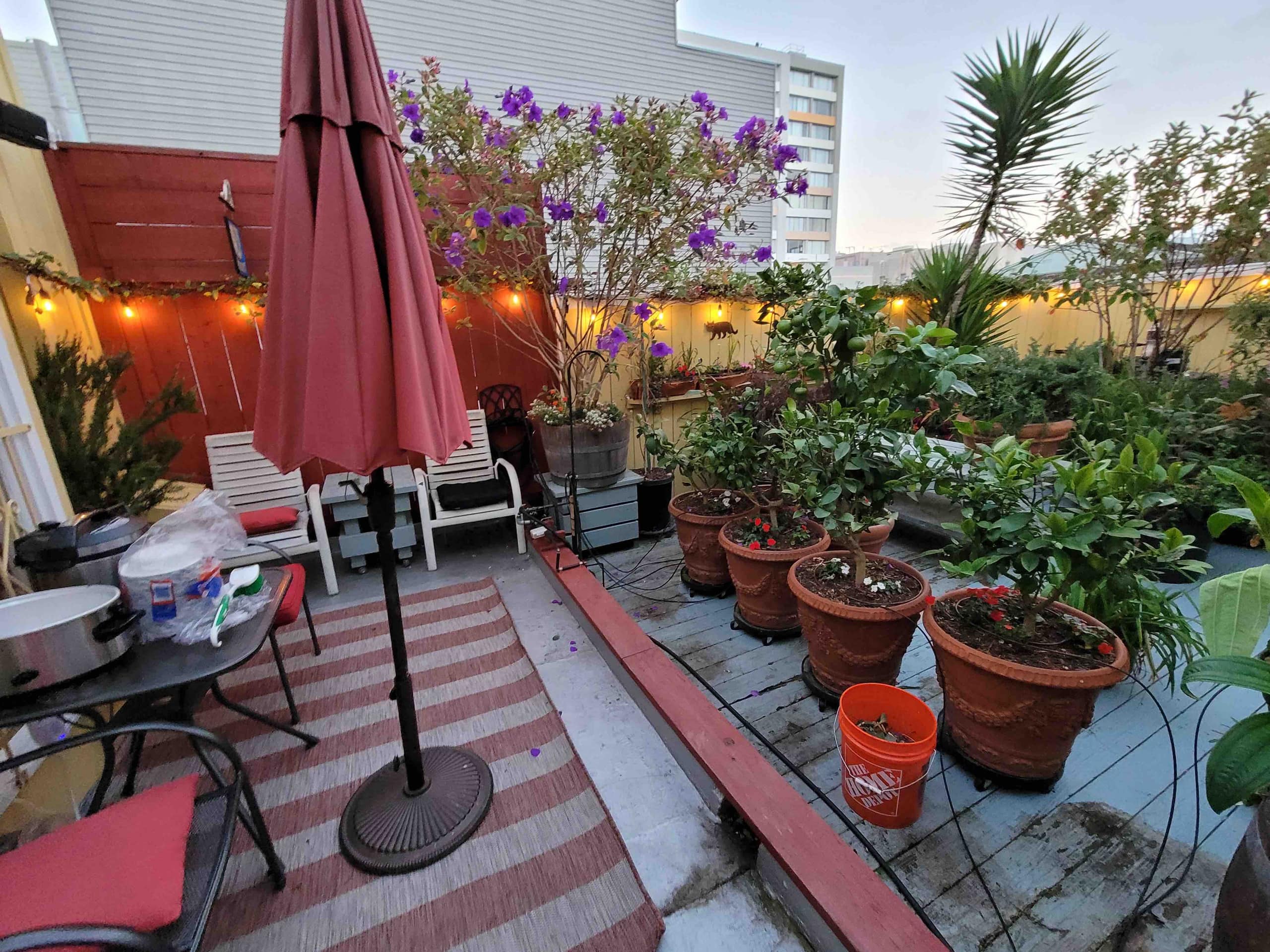 Home in San Francisco · ★4.98 · 2 bedrooms · 1 bed · 1 bath - Image 51