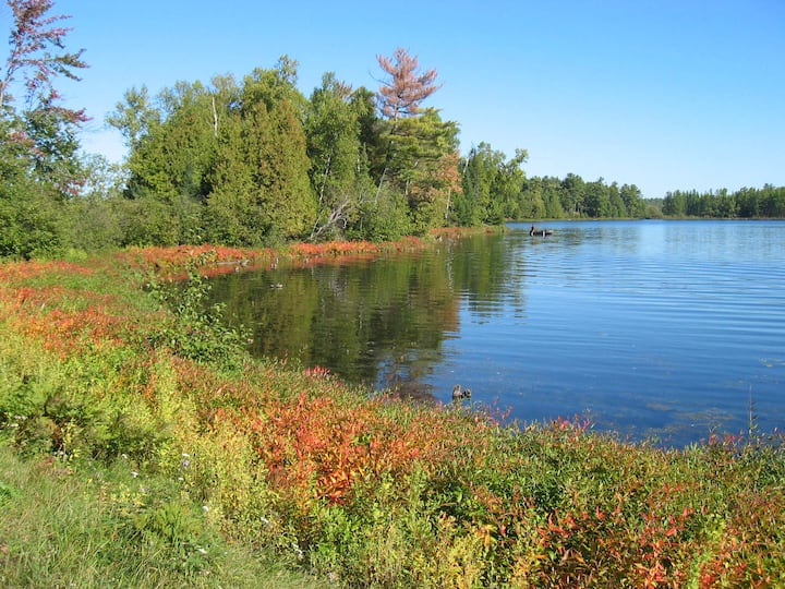 Top 12 PetFriendly Cabins Near Minocqua, Wisconsin Updated 2024