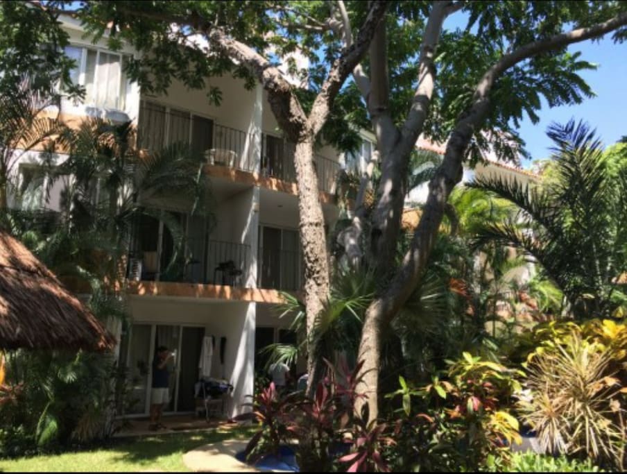 Jardin Interior