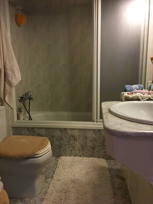 Full bathroom next to the room