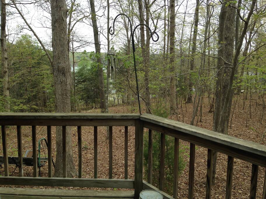Lake view