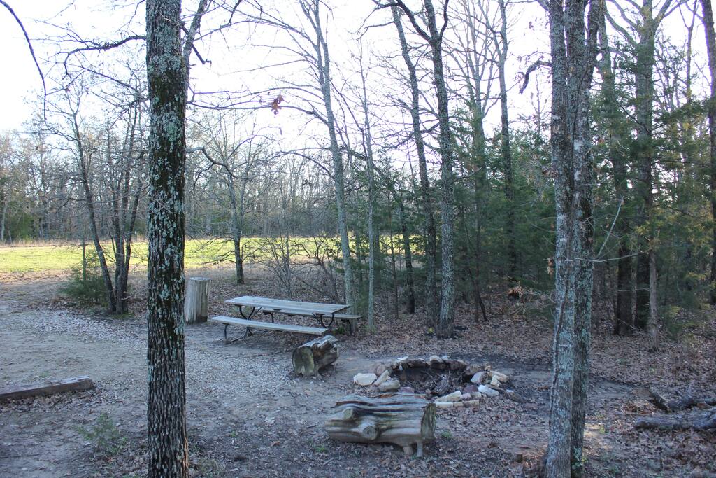 fire pit/picnic table