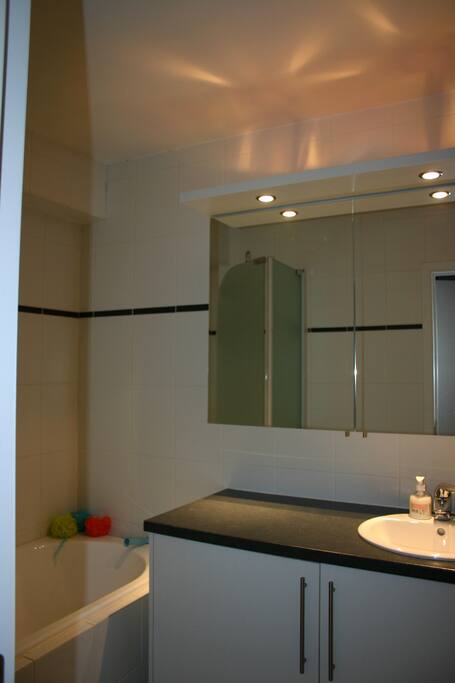 Bathroom with Bath/Shower and sink (toilet in separate small room)/Badkamer met douche, bad en lavabo (WC in apart kamertje)