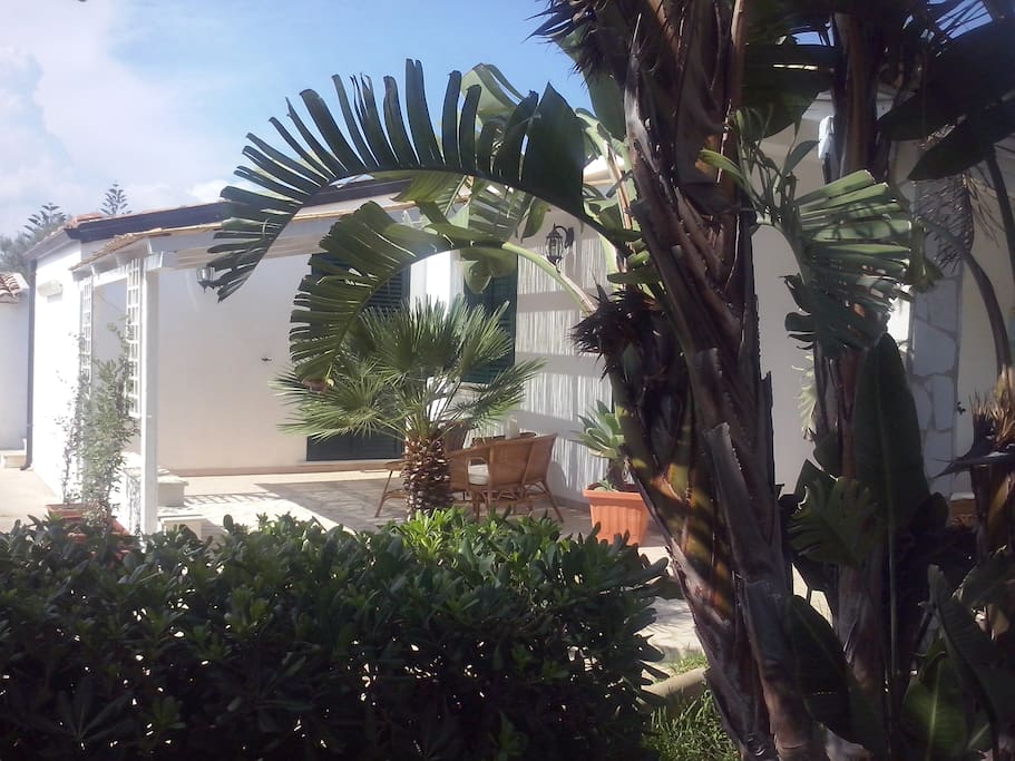 giardino