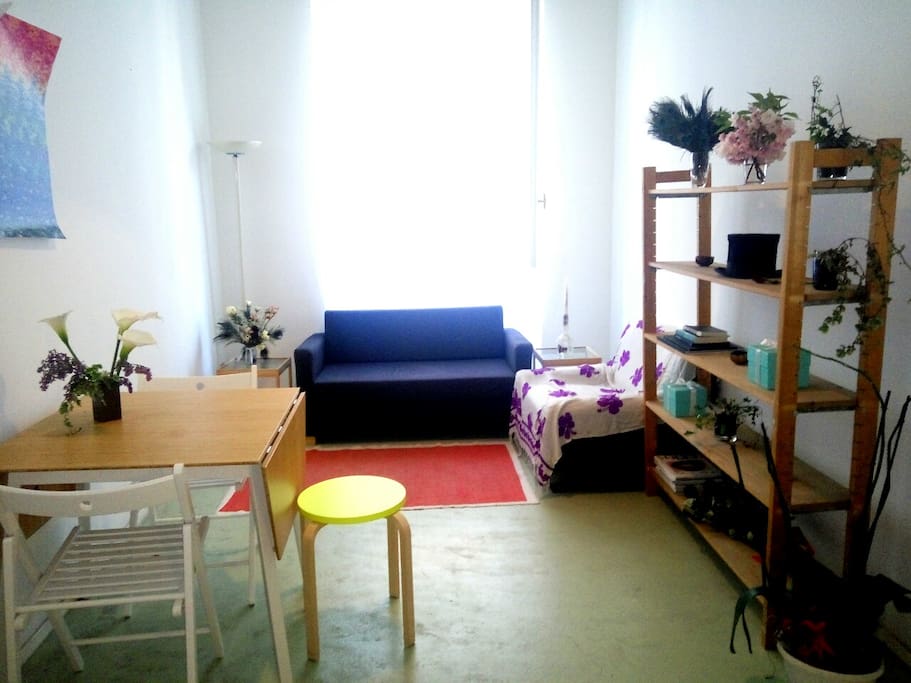 Living room with sofa bed