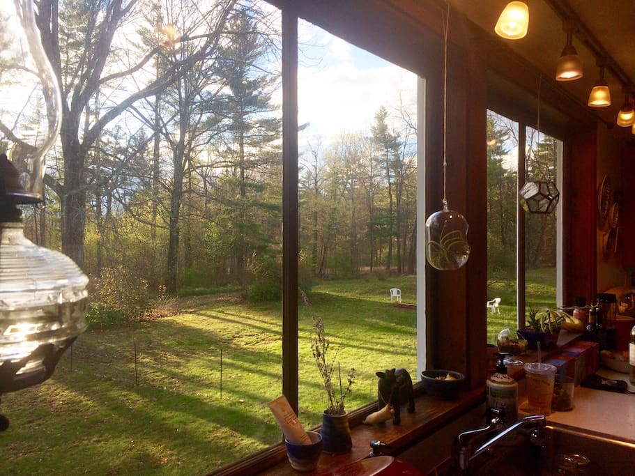 view from kitchen windows