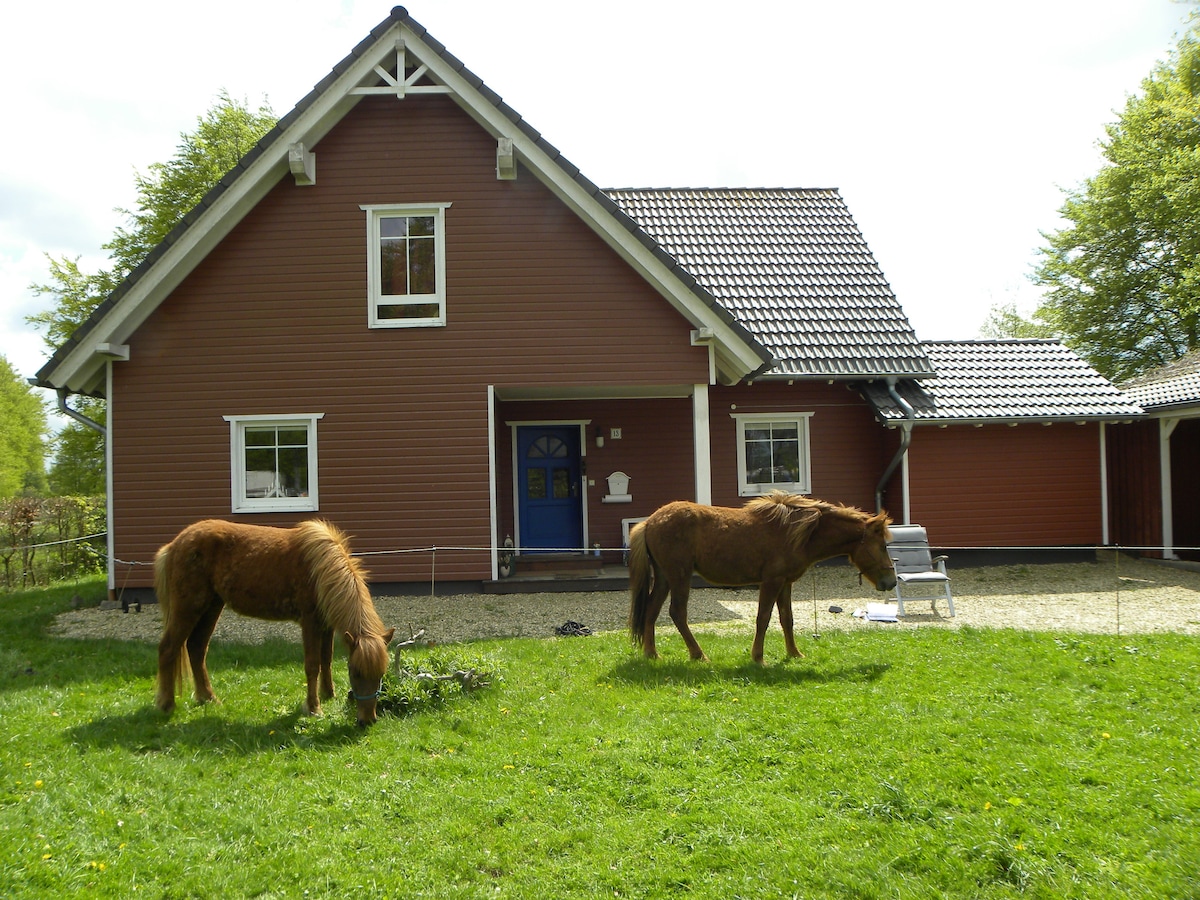 A charming farmhouse is presented with a red wooden exterior and a gray tiled roof. Two Icelandic horses graze peacefully on the lush green grass in front of the building. The entryway features a blue door and a small outdoor seating area.